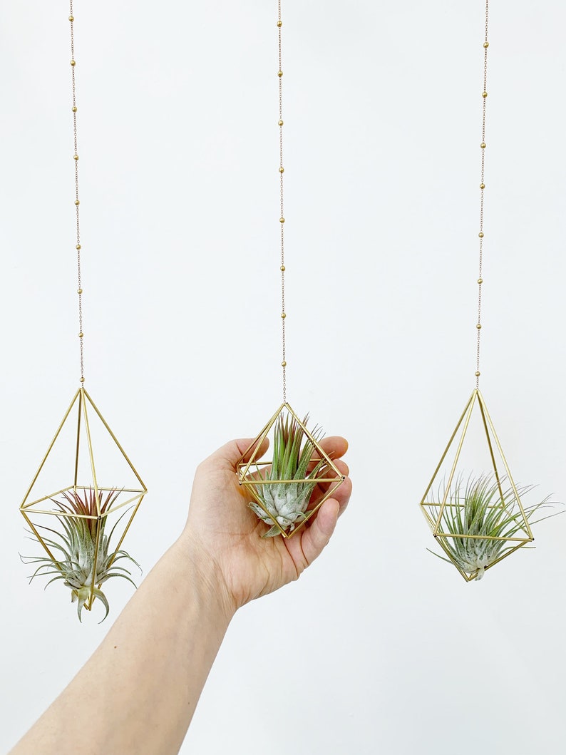 Modern Brass Himmeli Geometric Air Plant Mobile. Air plant holder. Hanging Plant. Air Plant Hanger. Housewarming Gift. Birthday Gift. image 6