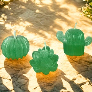 Prickly Lights: Unique Cactus Candle Collection (3pcs)
