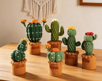 Crochet Potted Cactus, Handmade Potted Flowers, Emotional Support Potted Plant, Supportive Gift Knit Flower, Mother's Day, Graduation Gift