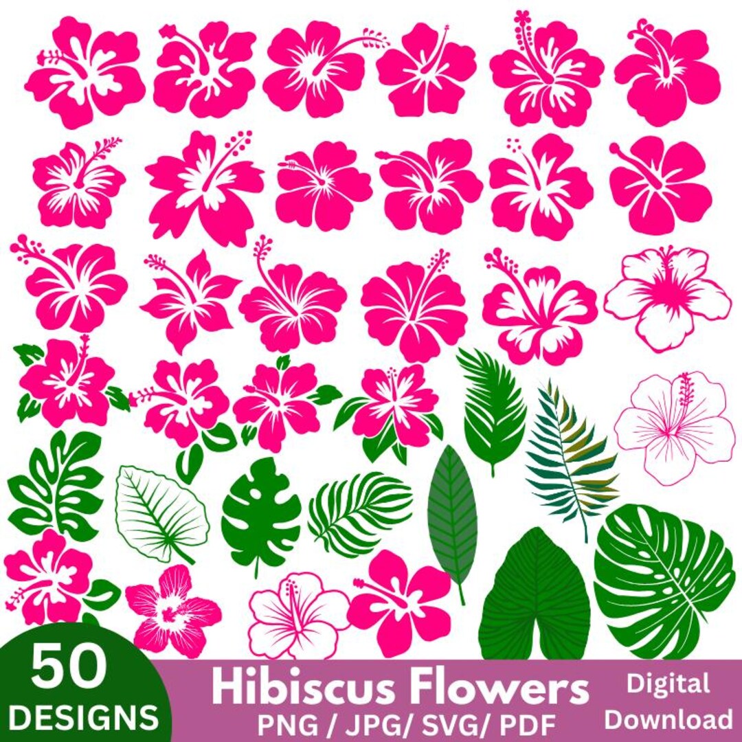 Hibiscus Flowers Svg Bundle, Hibiscus Svg, Tropical Floral Clipart Svg ...