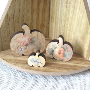 May include: Three wooden pumpkin-shaped cutouts of varying sizes featuring printed botanical illustrations. The largest pumpkin displays leaves and white berries, the medium one shows a small orange pumpkin, and the smallest features white berries.