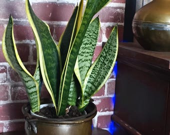 Antiekkoperen ketel met gesmeed handvat – rustieke vintage pot met patina
