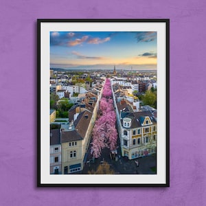 Impresión artística de los cerezos en flor de Bonn / Póster turístico de Bonn, Arte mural de Bonn, Foto original de Bonn, Heerstraße de Bonn, Arte mural de Alemania, Decoración del hogar de Bonn