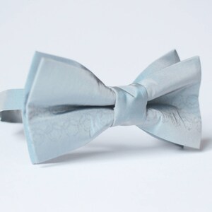Peut inclure: Un n&oelig;ud papillon bleu clair en satin. Le n&oelig;ud papillon a un motif subtil et est nou&eacute; dans un style classique.