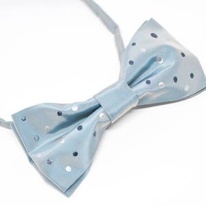 Peut inclure: Un n&oelig;ud papillon bleu clair avec des pois blancs et argent&eacute;s.
