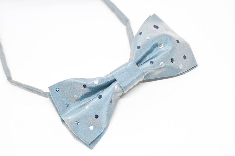 Peut inclure: Un n&oelig;ud papillon bleu clair avec des pois blancs et argent&eacute;s.