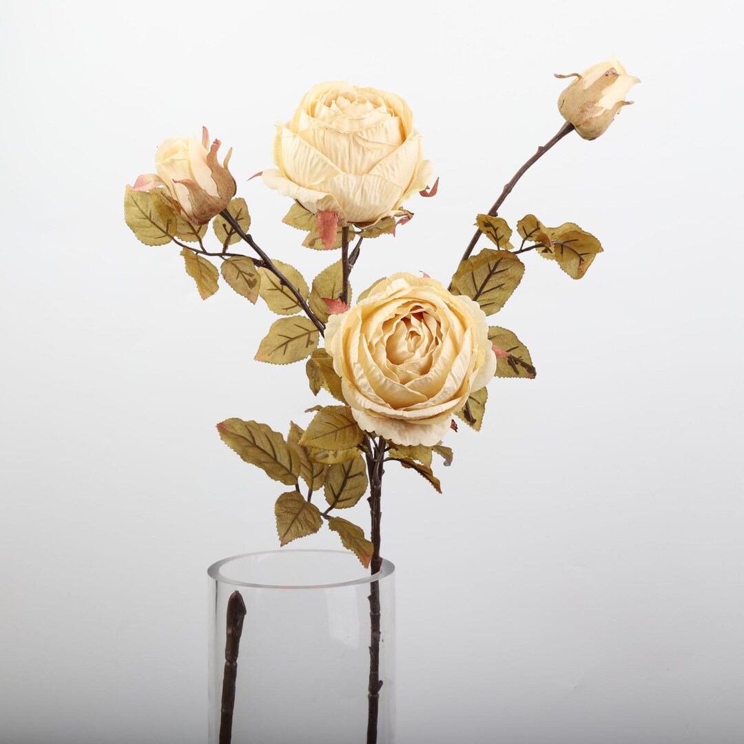 34 Inch English Garden Rose Stems, 4 Silk Printed Preserved Blooms With ...