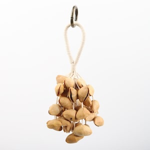 May include: A cluster of small, light brown seed pods, likely used as a musical instrument, hangs from a white rope loop and a metal ring. The pods are attached to the rope with white string. The background is plain white.