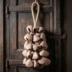 May include: A decorative wall hanging made of multiple beige, textured, shell-like objects. The shells are strung together and suspended from a looped, woven rope. The background is a dark, weathered wooden door.