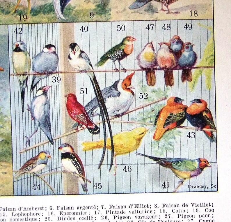Großer Hahn-BodenSex bei den Filmen Pornos