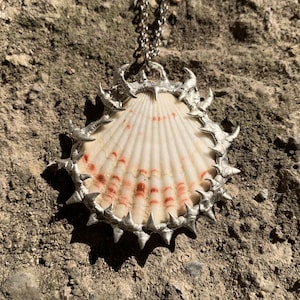 May include: A scallop shell pendant suspended from a silver-toned metal chain. The shell is off-white with radiating reddish-brown markings and is encased in a decorative silver-toned metal border featuring small, pointed, thorn-like protrusions.