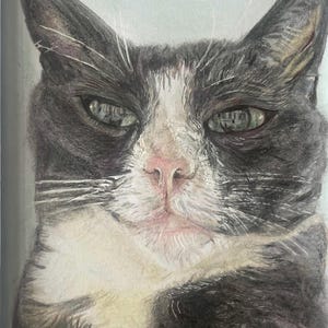Custom pet portraits - hand drawn in coloured pencil