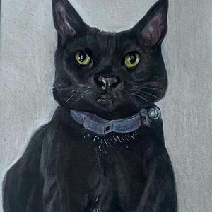 Pet portraits - hand drawn in coloured pencil