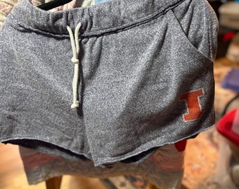 NWT Illinois shorts size women xl 16-18