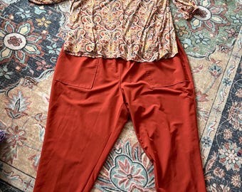 Plus Size Rust Pants & Paisley Blouse Set (3X) gently worn