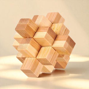 Wooden Brain Teaser Puzzle 3D IQ Challenge  Educational Toy for Kids & Adults