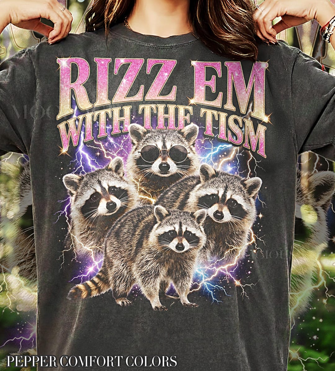 Rizz Em With the Tism, Raccoon, Funny Meme, Trash Panda, Retro 90s ...