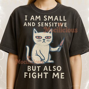 Kleines sensibles Fight Me Cat Bootleg Shirt, Vintages lustiges Katzen Retro T-Shirt, 90er Jahre Throwback, kleiner sensibler Fight Me Cat Sweater