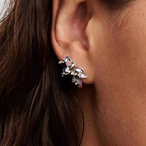 Peut inclure: Boucles d'oreilles &agrave; clous argent&eacute;es repr&eacute;sentant un personnage de dessin anim&eacute;. Les boucles d'oreilles ont des accents bleus, roses et violets. Les boucles d'oreilles sont sur l'oreille d'une personne.