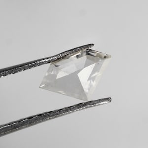 Può includere: Una gemma trasparente a forma di aquilone, tenuta da un paio di pinzette d'argento. La gemma ha molteplici sfaccettature, che riflettono la luce. Lo sfondo è grigio chiaro.