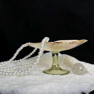 Seashell Wine Glasses - 2025 Gifts - Anniversary Gifts - Handmade Seashell Martini Glasses - Beach Wedding Decorations -- Jewelry storage