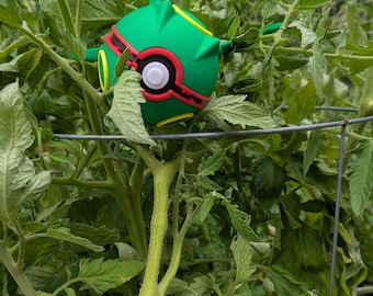 Pokebola de Rayquaza no funcional