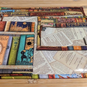 Vinyl Front Cross Stitch Project Bag – Aimee Stewart Bookshelf of Rarities, Zippered Storage