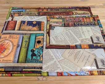 Bolsa para projeto de ponto cruz com frente em vinil – Aimee Stewart Bookshelf of Rarities, com zíper.