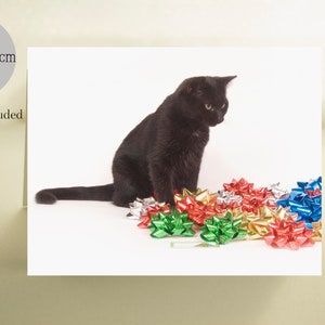 Carte de Noël pour chat noir, nœuds de Noël, cartes de chat, cartes de chat, du chat, rubans de Noël, mini panthères, ruban de Noël, chats