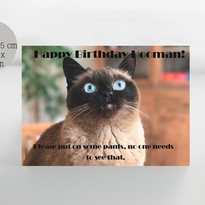 Cat birthday card, sarcastic birthday card, funny birthday card, from the cat, happy birthday from the cat, funny birthday card, crazy cat