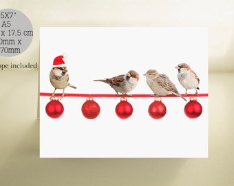 Oiseaux, Cartes de Noël d’oiseaux, Vœux de noël d’oiseaux, Cartes de Noël, Cartes de Noël vierges, Cartes de Noël vierges, Mésanges, Oiseaux mignons,