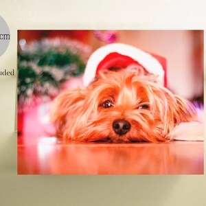 Carte de vacances Yorkie, Vœux de Noël Yorkie, Yorkies, Carte de vœux Yorkie, Carte de Noël pour chien, Cartes de Noël pour animaux, Chiens, Cartes pour chiens