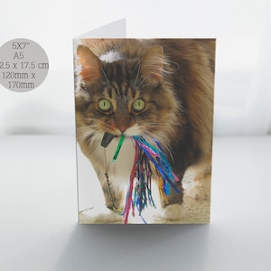 Joyeux anniversaire du chat, salutations d’anniversaire, cartes d’anniversaire drôles, cartes de chat, salutations d’anniversaire de chat, dame folle de chat, cartes de peuple de chat