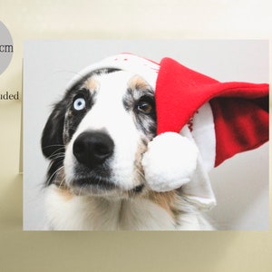 Australian Shepherd, kerstgroet, vakantiekaarten, hondenvakantiekaarten, vakantiegroeten, van de hond, blanco kaarten, honden in kerstmutsen