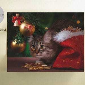 Carte de Noël pour chat tabby, cartes de Noël pour chat, du chat, cartes de chat, vœux vierges, fabriqué au Canada, papier recyclé, cartes premium, chats