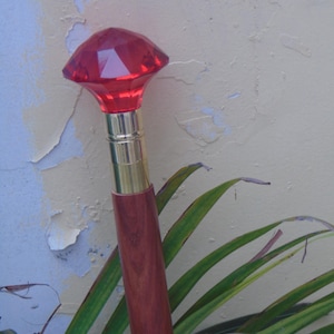 Op de afbeelding: Wandelstok met een facetgeslepen, rode edelsteen handvat. Het handvat is bevestigd aan een goudkleurige metalen kraag en een donkerbruine houten schacht. De stok staat tegen een achtergrond van groene bladeren en een afbladderende, gebroken witte muur.