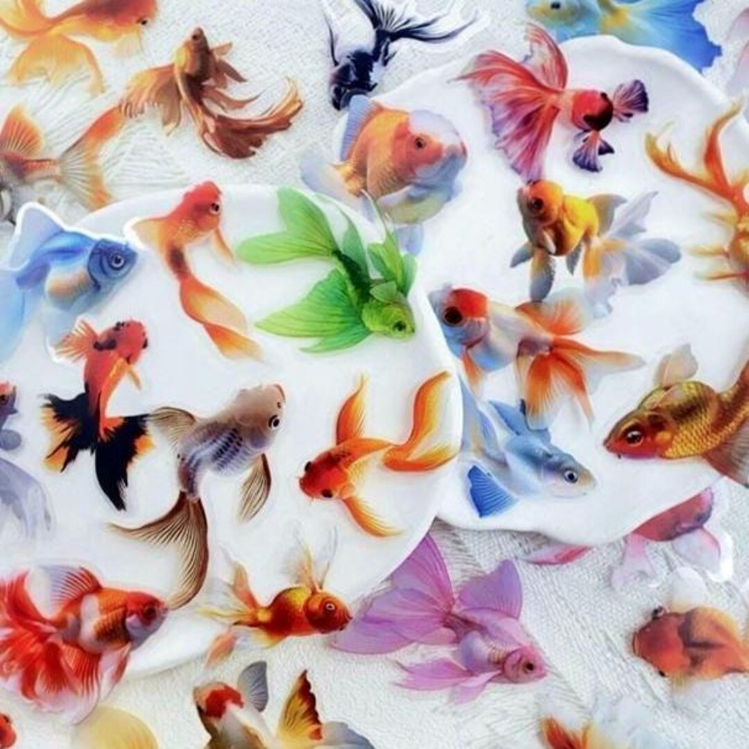 Fat Goldfish Sticker Goldfish Sticker Pack, Colorful Aquarium Stickers for Scrapbooking Junk ...