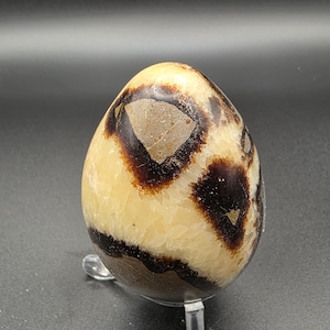 Polished Septarian Dragon Stone Egg