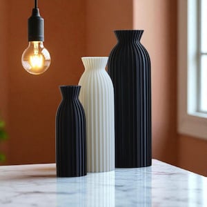 3D Printed Vase: Modern Minimalist PLA Bioplastic