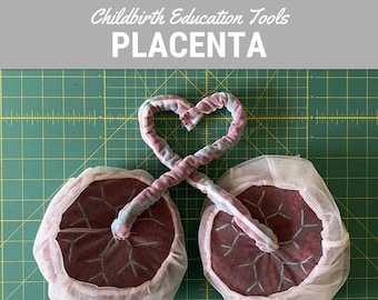 Placenta and Amniotic Sac, Childbirth Educator Tool, anatomically accurate, crocheted