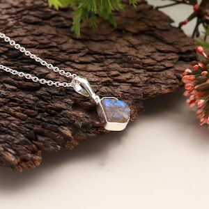 Può includere: Una collana d'argento con un pendente quadrato in labradorite. La gemma presenta sfumature blu e grigie. La collana è esposta su legno scuro e strutturato, con accenti floreali verdi e rossi sullo sfondo.