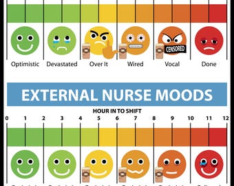 Internal and External Nurse Moods/Pain Scale Funny Nurse Gift Magnet