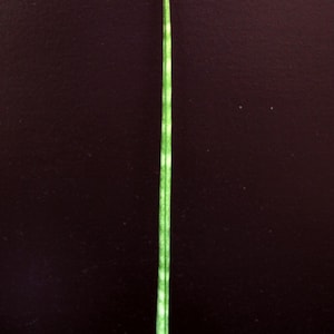 Sansevieria bacularis  very  rare plant
