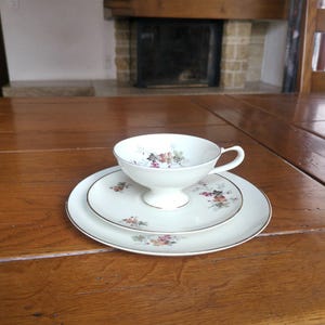 Alka Bavaria design Erika porcelain trio coffee set cake plate cup saucer for your perfect breakfast beige color and autumn maple leaves