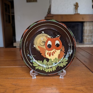 Könnte beinhalten: Ein dekorativer, runder, brauner Teller mit einem skurrilen Eulen-Design. Die Eule ist orange, weiß und gelb, vor einem Nachthimmel mit gelbem Mond und Sternen. Der Rand des Tellers hat eine dekorative Bordüre.