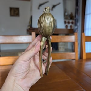 以下が含まれることがあります： カボチャ型のトップとレバーハンドルを備えた、ヴィンテージの真鍮製くるみ割り器。くるみ割り器は手で持たれており、その詳細なデザインと経年変化した風合いを際立たせています。背景には木製のテーブルとぼやけたインテリアが含まれています。