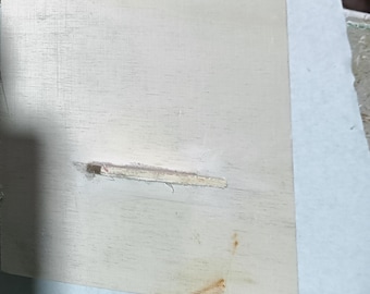 Tillandsia ionantha roja