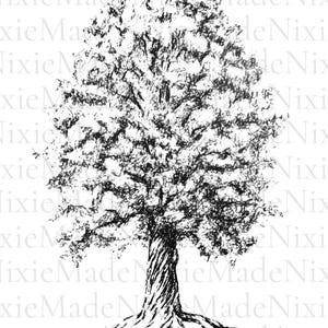 Printable Art - Sweet Chestnut Tree Ink Drawing