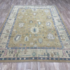 Puede incluir: Una alfombra rectangular grande con un campo central beige y un borde detallado. La alfombra presenta un patrón repetitivo de diseños florales y geométricos en tonos de azul, verde y rosa. La alfombra está colocada sobre un piso de madera.