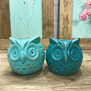 Puede incluir: Dos macetas de cer&aacute;mica en forma de b&uacute;ho de color azul turquesa con pintura desgastada. Los b&uacute;hos tienen ojos grandes y un pico detallado.